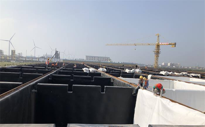 1614913951722674.jpg 5.jpg