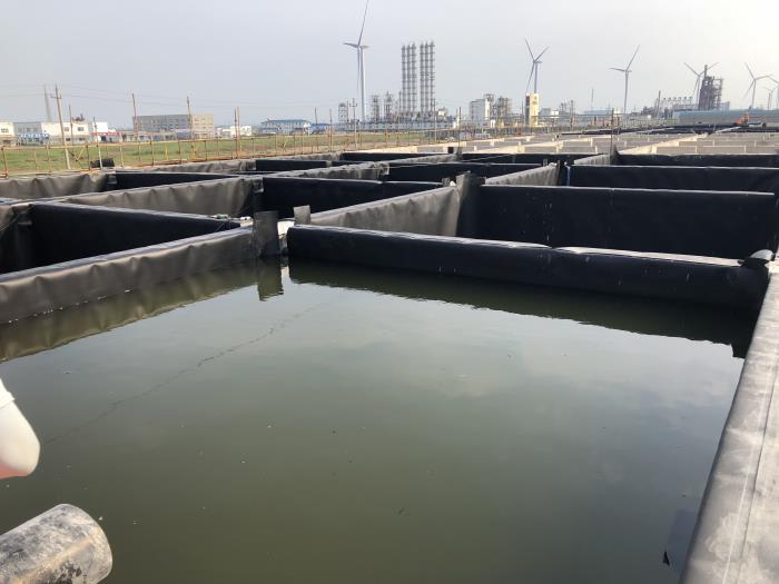 1614913970407278.jpg 7.jpg