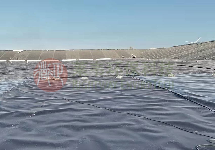 1644213014176924.jpg 上海老港.jpg